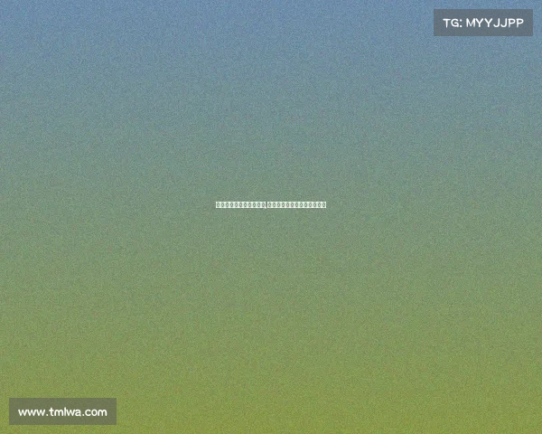 全国电子竞技大赛的英文,全国电子竞技大赛的英文翻译